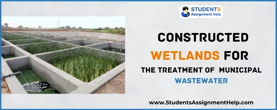 the Effectiveness of Constructed Wetlands for the Treatment of either Municipal Wastewater