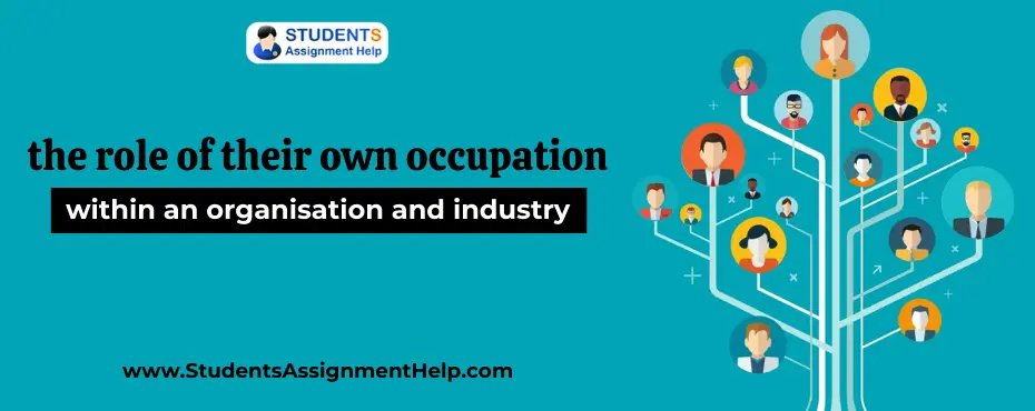 the role of their own occupation within an organisation and industry