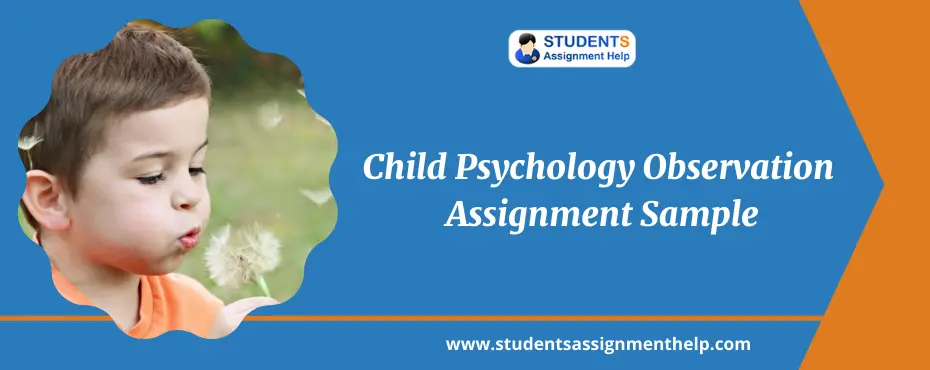 Child Psychology Observation Assignment Sample