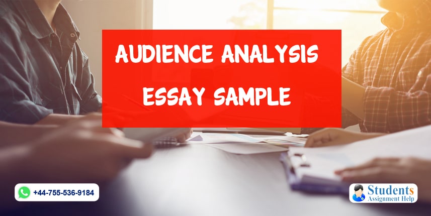 Essay On Audience Analysis Sample Papers For College Students Free