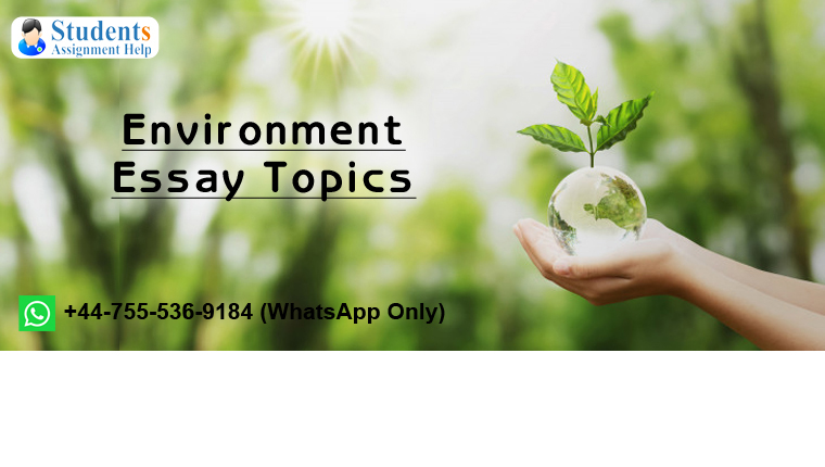 environment essay topics