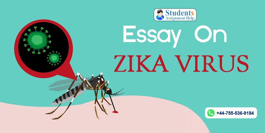 Zika virus thesis 05 image