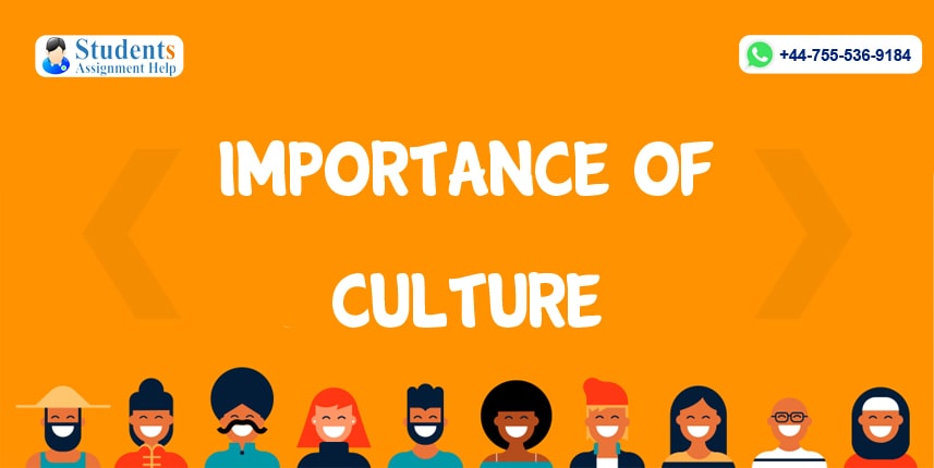 importance of culture in society essay