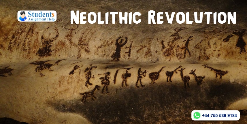 The neolithic revolution essay
