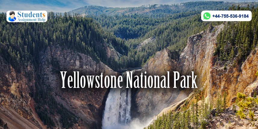 Yellowstone National Park Descriptive Essay  Sample & Example For Free