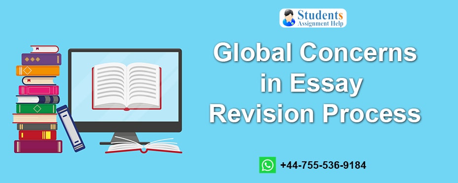 Essay revision help online