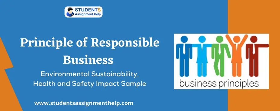 Principle of Responsible Business – Environmental Sustainability, Health and Safety Impact Sample