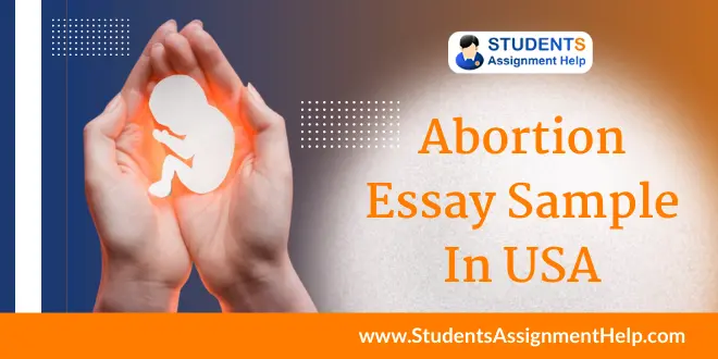 Abortion Essay Sample In USA