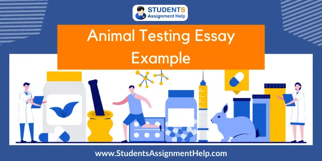 Animal Testing Essay Example