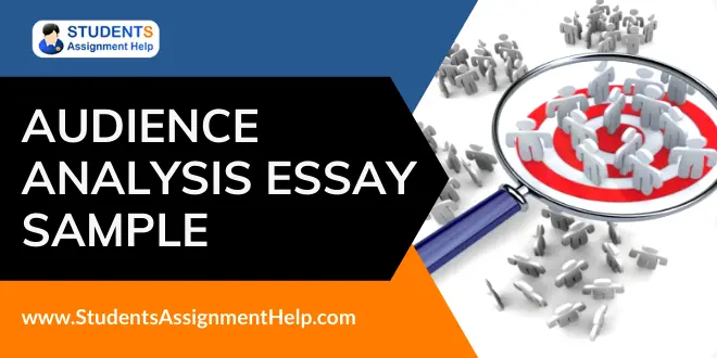 Audience Analysis Essay Sample