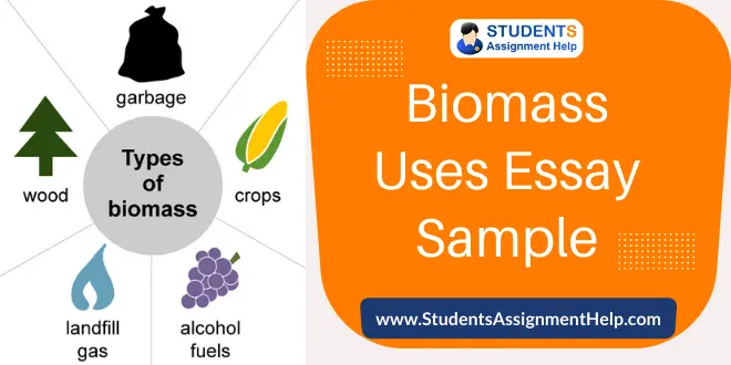Biomass Uses Essay Sample