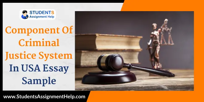 Component Of Criminal Justice System In USA Essay Sample