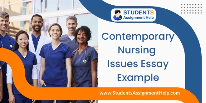 Contemporary Nursing Issues Essay Example