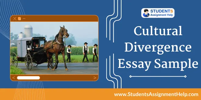 Cultural Divergence Essay Sample