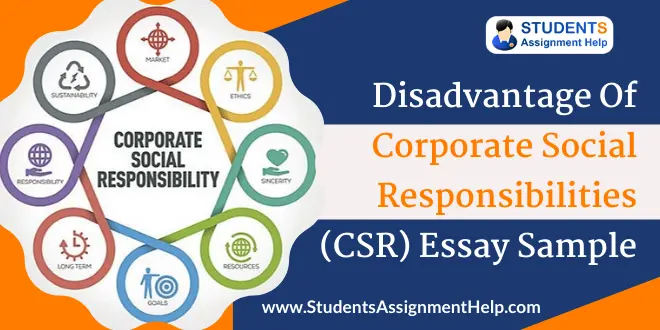 Disadvantage of Corporate Social Responsibilities (CSR) Essay Sample