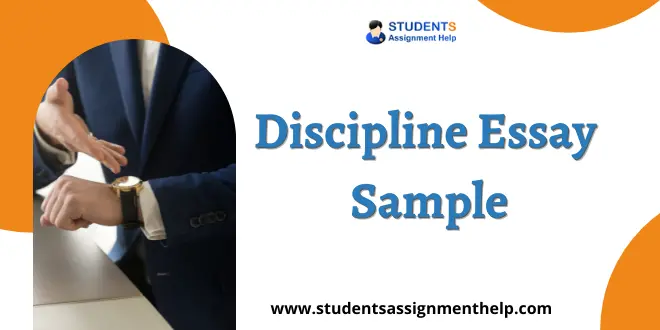 Discipline Essay Sample