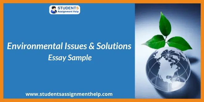 Environmental Issues & Solutions Essay Sample