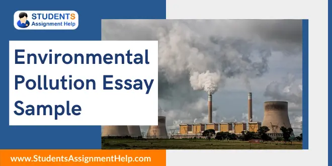 Environmental Pollution Essay Sample
