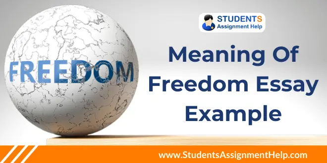 Meaning of Freedom Essay Example