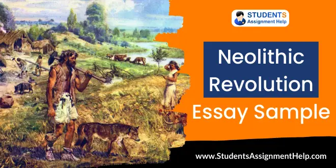 essay on the neolithic revolution