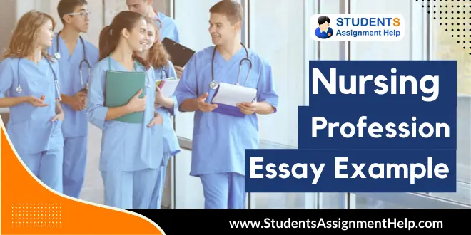 Nursing Profession Essay Example