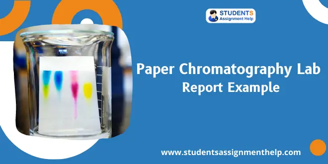 Paper Chromatography Lab Report Example