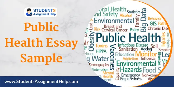 Public Health Essay Sample