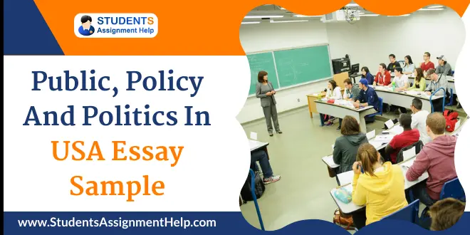 Public, Policy And Politics In USA Essay Sample