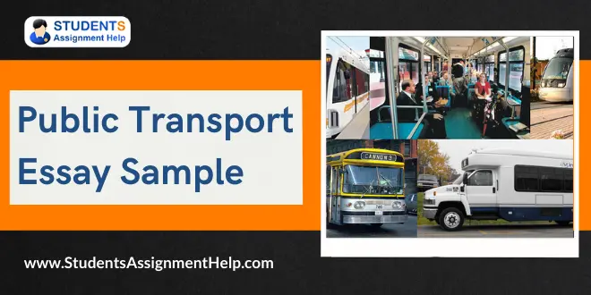 Public Transport Essay Sample