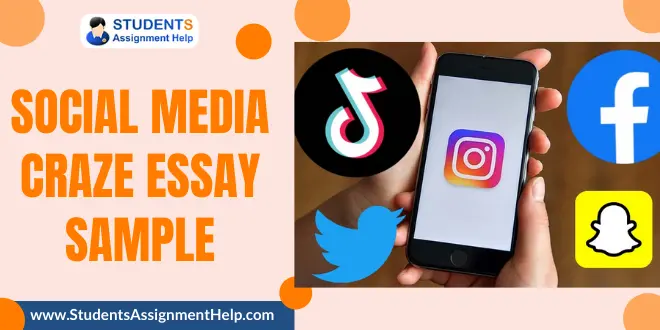 Social Media Craze Essay Sample