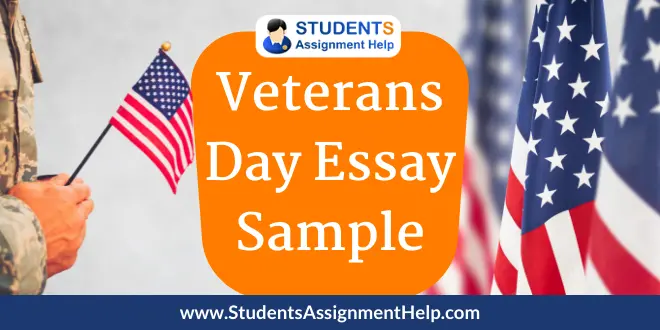 Veterans Day Essay Sample