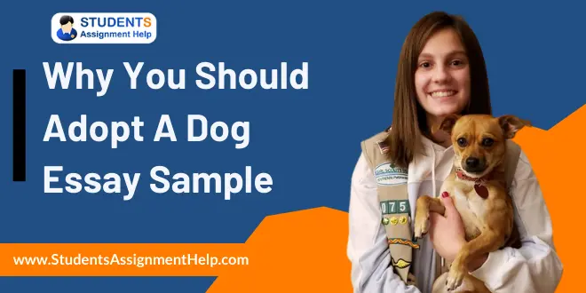 Why You Should Adopt A Dog Essay Sample