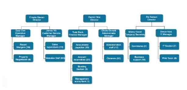 BIS2003 Assessment Figure 1.1 Organisation of A & R